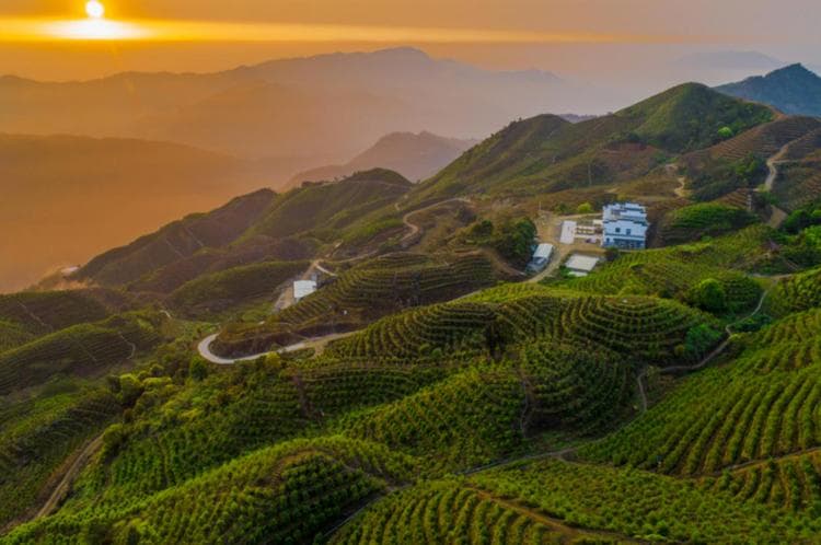 Phoenix mountain tea garden at sunset